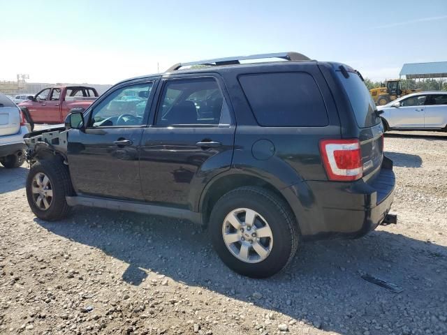 2009 Ford Escape Limited