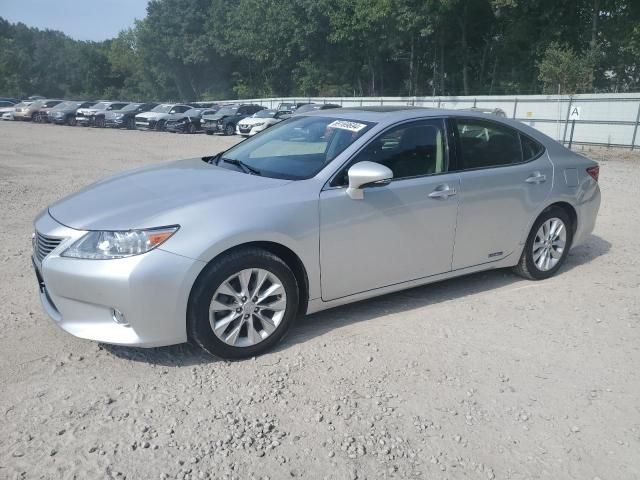 2013 Lexus ES 300H