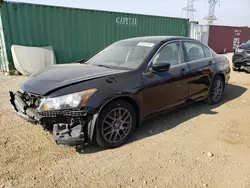 2010 Honda Accord EXL en venta en Elgin, IL