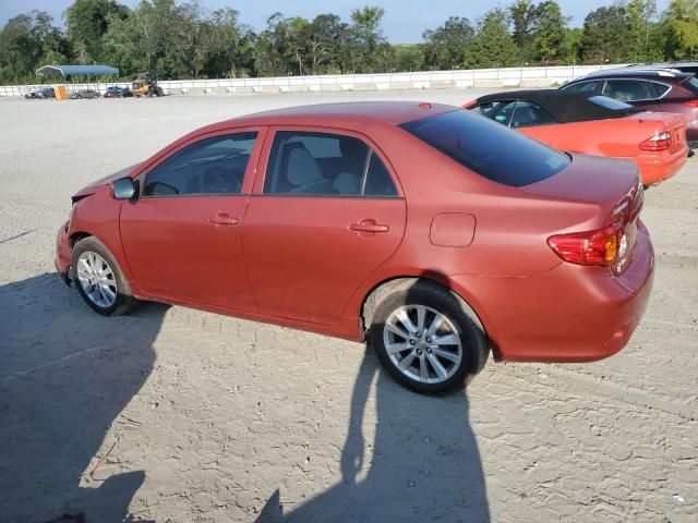 2010 Toyota Corolla Base