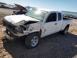 Salvage cars for sale at Phoenix, AZ auction: 2013 Toyota Tacoma Access Cab