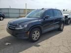 2012 Volkswagen Tiguan S