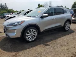 Flood-damaged cars for sale at auction: 2021 Ford Escape Titanium