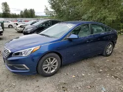 2017 Hyundai Sonata SE en venta en Arlington, WA