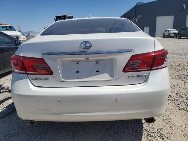 2010 Lexus ES 350