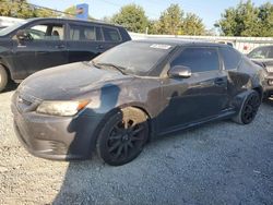 2013 Scion TC en venta en Walton, KY