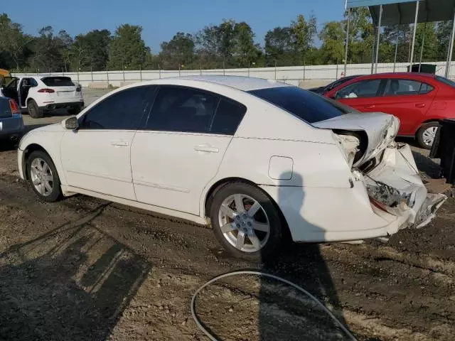 2006 Nissan Maxima SE