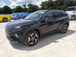 Salvage cars for sale at Ocala, FL auction: 2024 Hyundai Tucson Limited