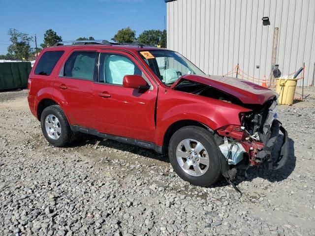 2011 Ford Escape Limited