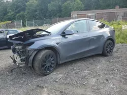 Salvage cars for sale at Baltimore, MD auction: 2022 Tesla Model Y