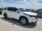 2025 Honda Pilot EXL