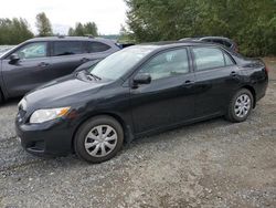 Salvage cars for sale at Arlington, WA auction: 2010 Toyota Corolla Base