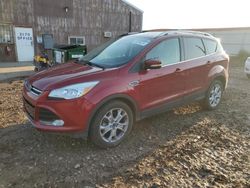 Vehiculos salvage en venta de Copart Rapid City, SD: 2016 Ford Escape Titanium