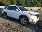 2024 Honda Pilot EXL