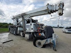 Salvage trucks for sale at Arcadia, FL auction: 2008 Peterbilt 367