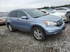 2010 Honda CR-V EXL