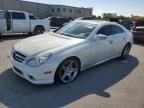 2010 Mercedes-Benz CLS 550