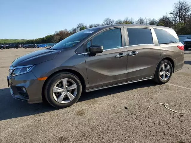 2020 Honda Odyssey EXL