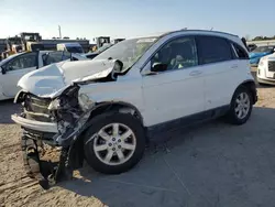 Honda salvage cars for sale: 2007 Honda CR-V EXL