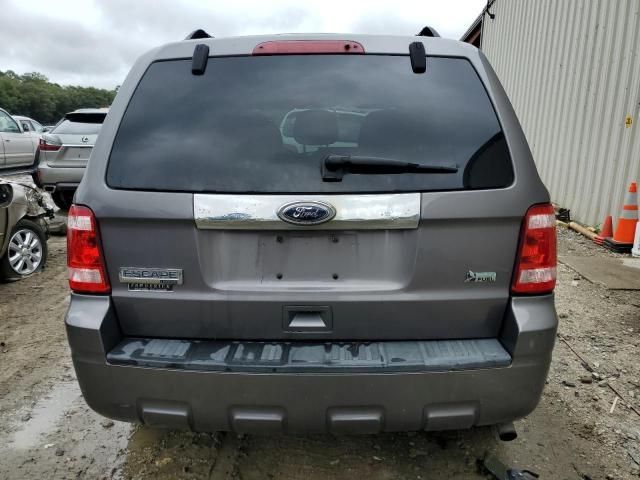 2010 Ford Escape Limited