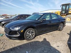 2021 Hyundai Sonata Hybrid en venta en Cahokia Heights, IL