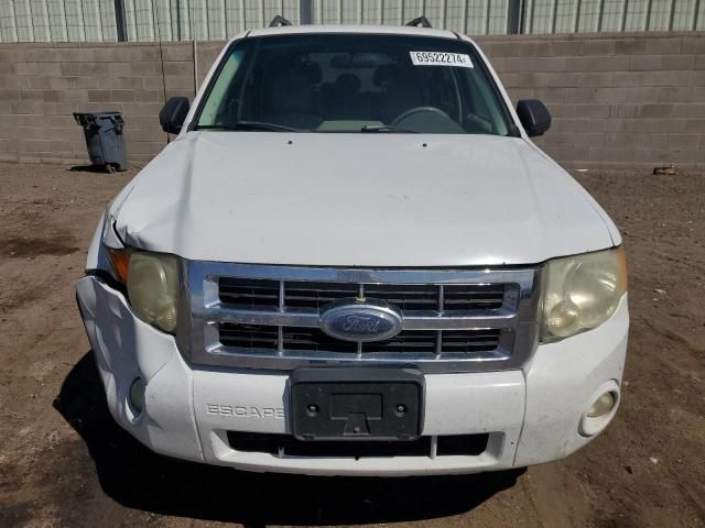 2008 Ford Escape XLT