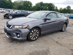 Salvage cars for sale at Marlboro, NY auction: 2013 Honda Accord EXL