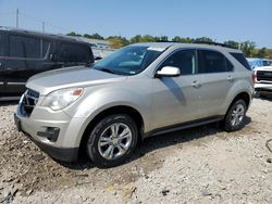 Salvage cars for sale at Louisville, KY auction: 2013 Chevrolet Equinox LT