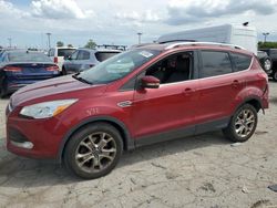 Ford Escape Titanium salvage cars for sale: 2016 Ford Escape Titanium