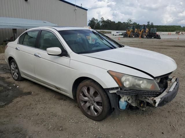 2009 Honda Accord EXL