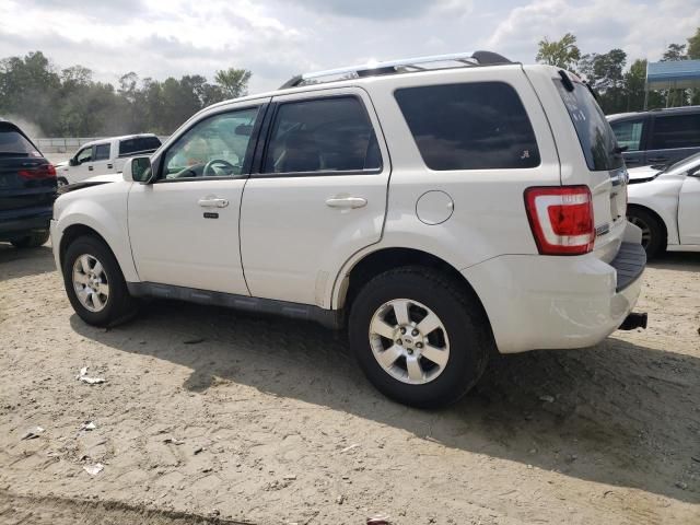 2011 Ford Escape Limited