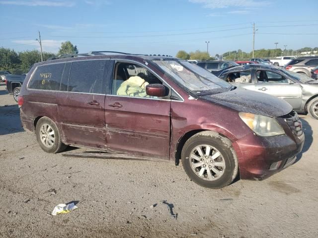 2008 Honda Odyssey EXL