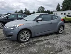 Salvage cars for sale at Graham, WA auction: 2016 Hyundai Veloster