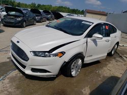 2013 Ford Fusion SE Hybrid en venta en Louisville, KY