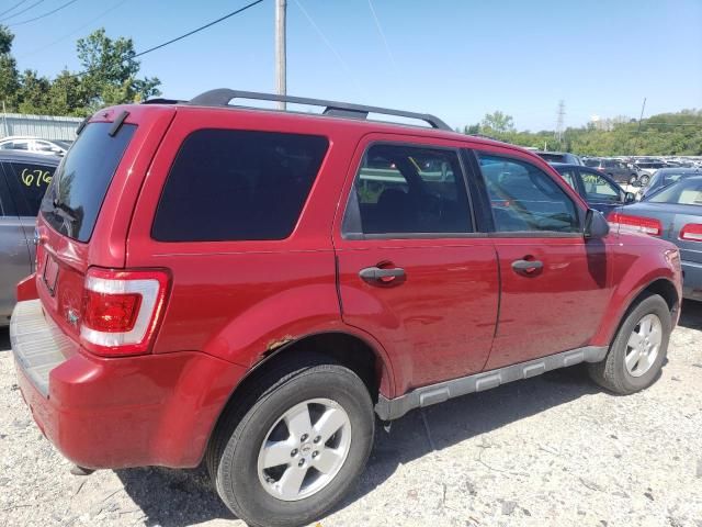 2011 Ford Escape XLT