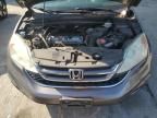 2010 Honda CR-V EXL