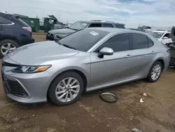 Salvage cars for sale at Brighton, CO auction: 2024 Toyota Camry LE