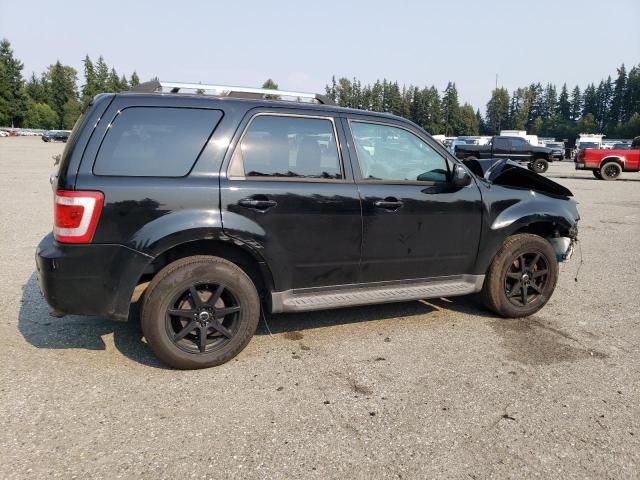 2010 Ford Escape Limited