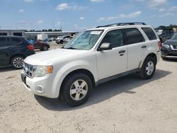 Ford salvage cars for sale: 2010 Ford Escape XLT