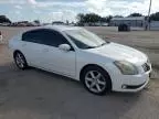 2004 Nissan Maxima SE