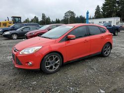 Salvage cars for sale at Graham, WA auction: 2014 Ford Focus SE