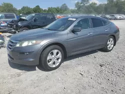 Honda salvage cars for sale: 2010 Honda Accord Crosstour EXL