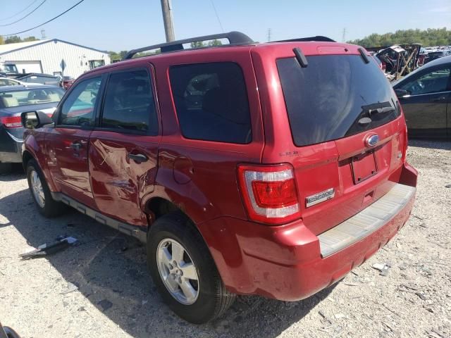 2011 Ford Escape XLT