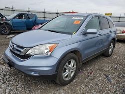 Flood-damaged cars for sale at auction: 2010 Honda CR-V EXL