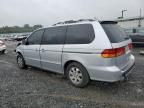 2002 Honda Odyssey EXL