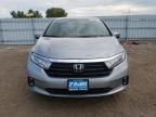 2024 Honda Odyssey EXL