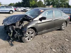 Honda salvage cars for sale: 2013 Honda Accord LX