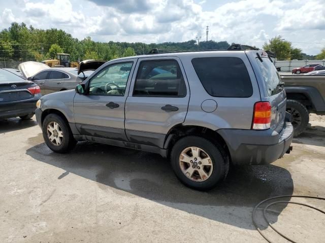 2007 Ford Escape XLT