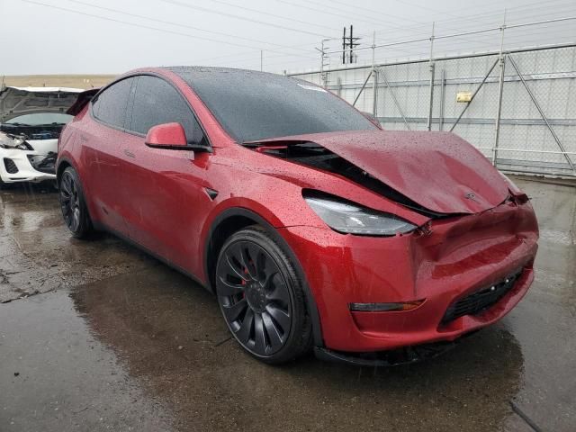 2024 Tesla Model Y