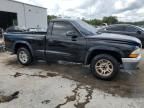 2004 Dodge Dakota SLT